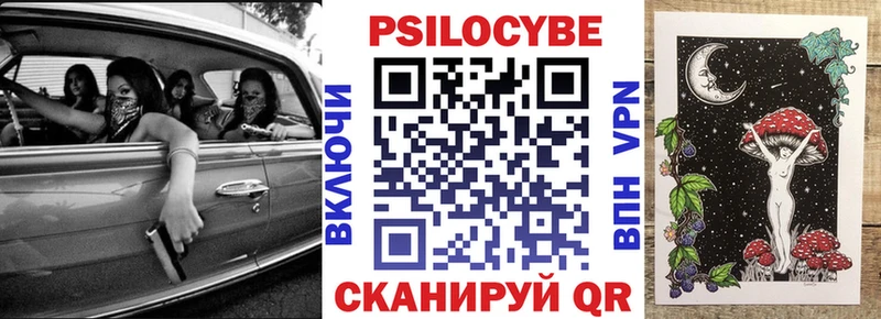 Псилоцибиновые грибы Psilocybe  Куса 