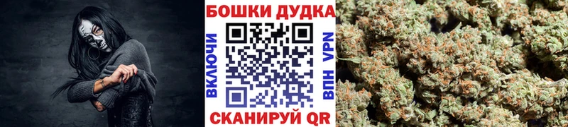 Канабис конопля  Куса 